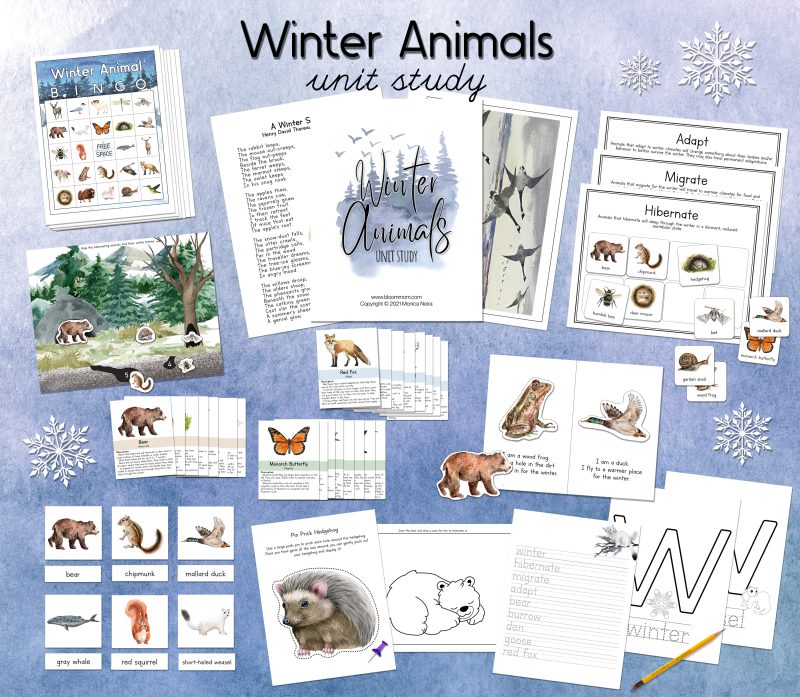 Winter Animals Unit Study