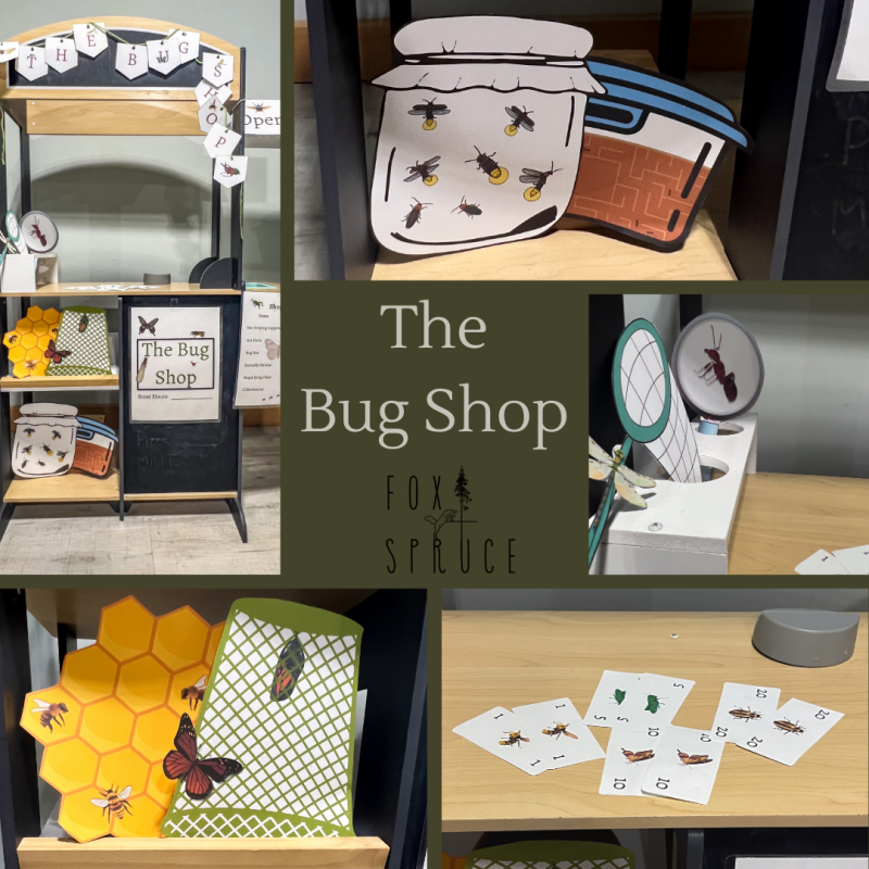 Dramatic Play Bug Shop I Creative Play Homeschool I Little Entomologist I Insect Unit Study