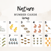 Spring Nature Number Counting Cards