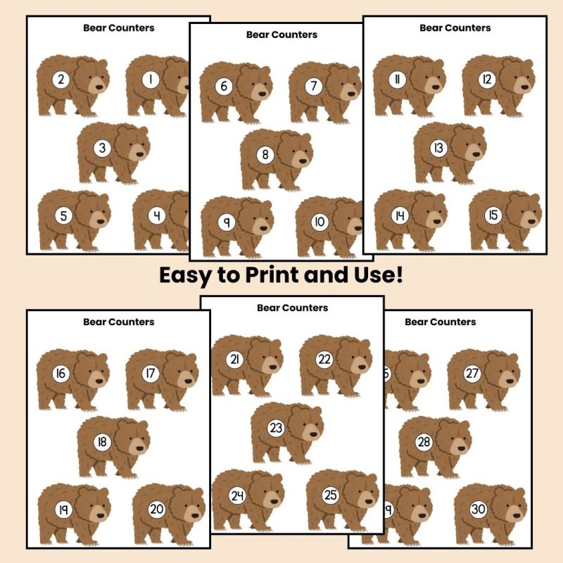 Preschool Bear Counters 1-30 Math Bear Theme Counting Pieces Kindergarten - Image 2