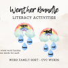 Weather Bundle Math & Literacy Activities - Image 5