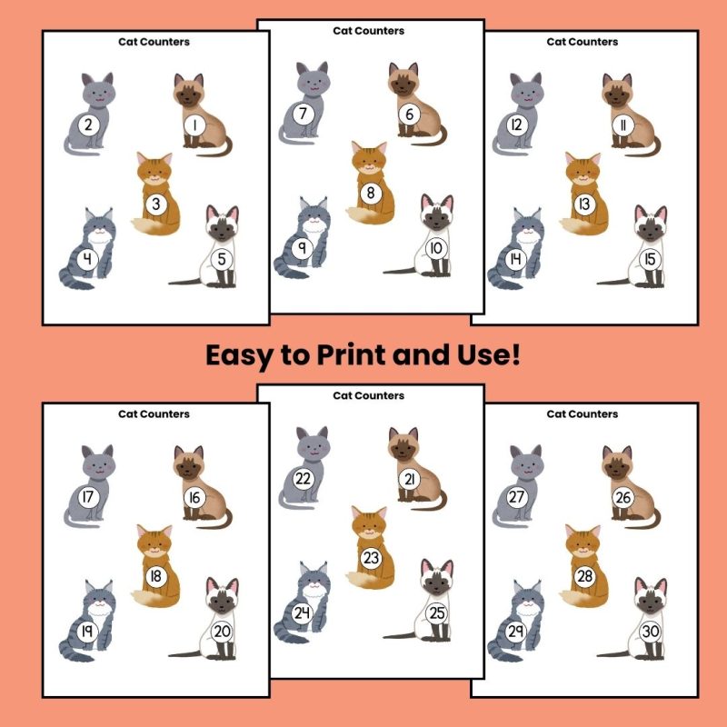 Preschool Cat Counters 1-30 Cat Theme Counters - Image 2