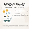 Weather Bundle Math & Literacy Activities - Image 4