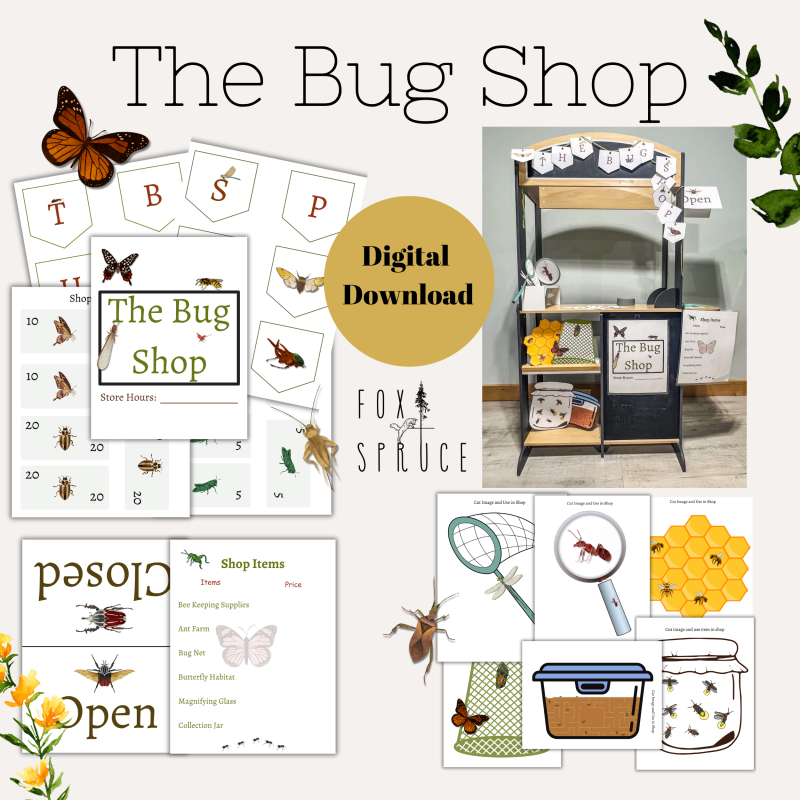 Dramatic Play Bug Shop I Creative Play Homeschool I Little Entomologist I Insect Unit Study - Image 2