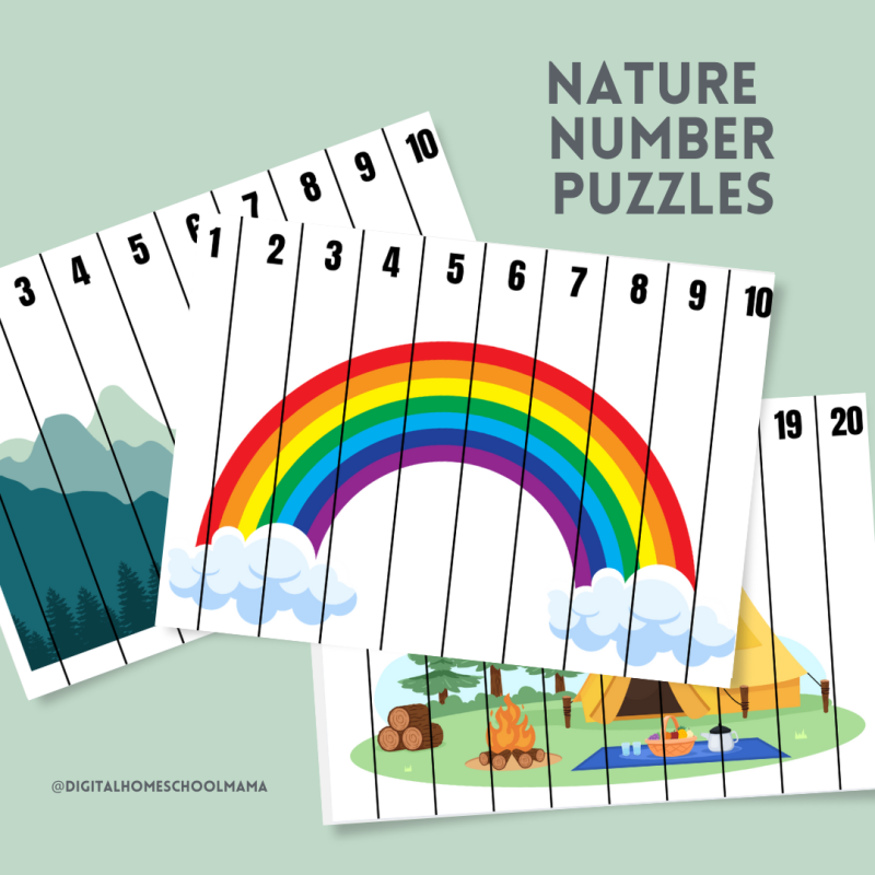 Nature Number Puzzles