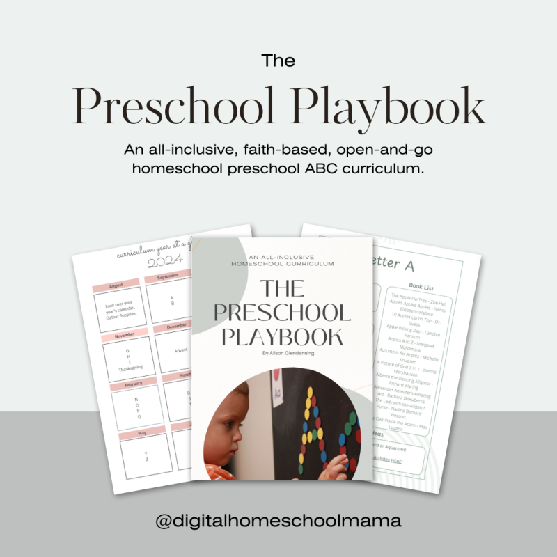 The Preschool Playbook