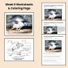 Eugene Delacroix Artist Study Unit Art History Romanticism Art Lesson Plan - Image 3