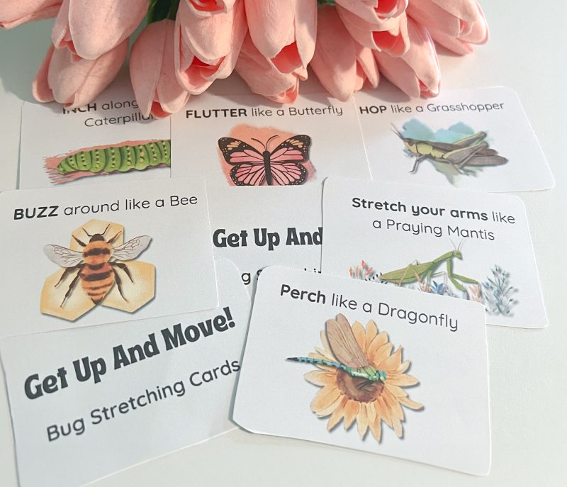 Fitness Movement Cards for Kids- Bug Themed- Morning Basket Ideas-Brain Break Activities - Image 4