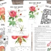 Rose flower Mini Unit, Valentines day study, Homeschool Valentines day printables