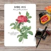 Rose flower Mini Unit, Valentines day study, Homeschool Valentines day printables - Image 2
