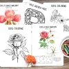 Rose flower Mini Unit, Valentines day study, Homeschool Valentines day printables - Image 3