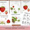 Strawberry Mini Unit study, Spring Nature study printable,Homeschool printable,Plant Lifecycle study