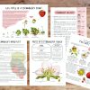 Strawberry Mini Unit study, Spring Nature study printable,Homeschool printable,Plant Lifecycle study - Image 2