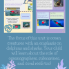 Underwater Adventure: A Thematic Unit about Dolphins, Sharks, and Other Sea Creatures - Image 2