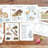 Rabbit & Hare Mini Unit, Spring Homeschool printable,Rabbit Unit study, Easter Homeschool activity - Image 3