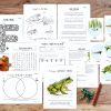 Frogs & Toads Mini Unit Study - Image 3