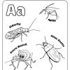 Color Me: ABC Bugs! - Image 4