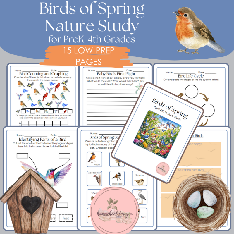 Birds of Spring Nature Study for Prek-4th Grades - Spring Learning Unit - Bird Activity Packet