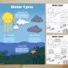 The Water Cycle - Educational Poster - Coloring Activity - Learning Diagram - Image 2