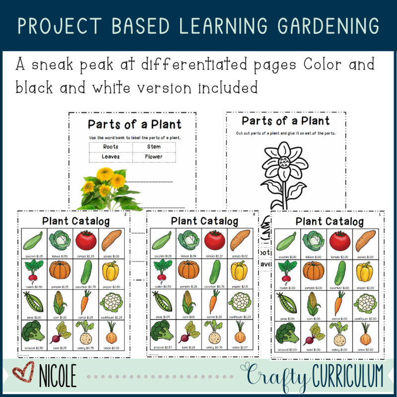 Project Based Learning | Science and Math Design a Garden | STEM Challenge | Plants - Image 3