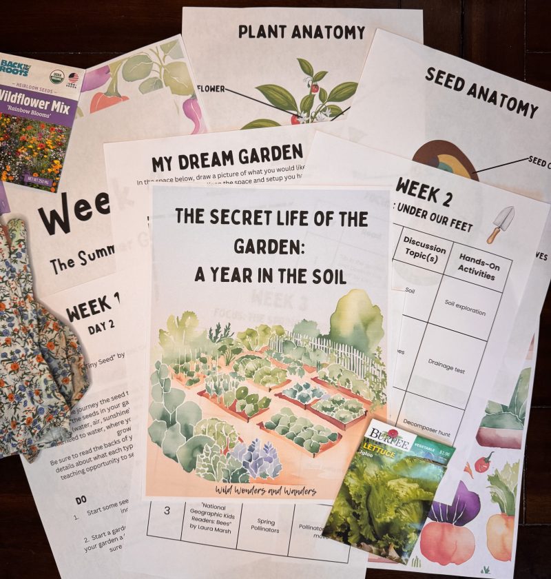 The Secret Life of the Garden