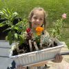 The Secret Life of the Garden - Image 3