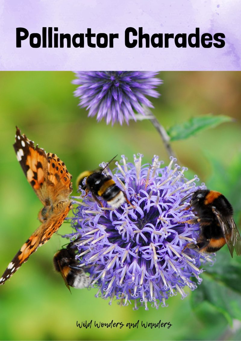 Pollinator Charades