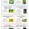 Pollinator Charades - Image 2