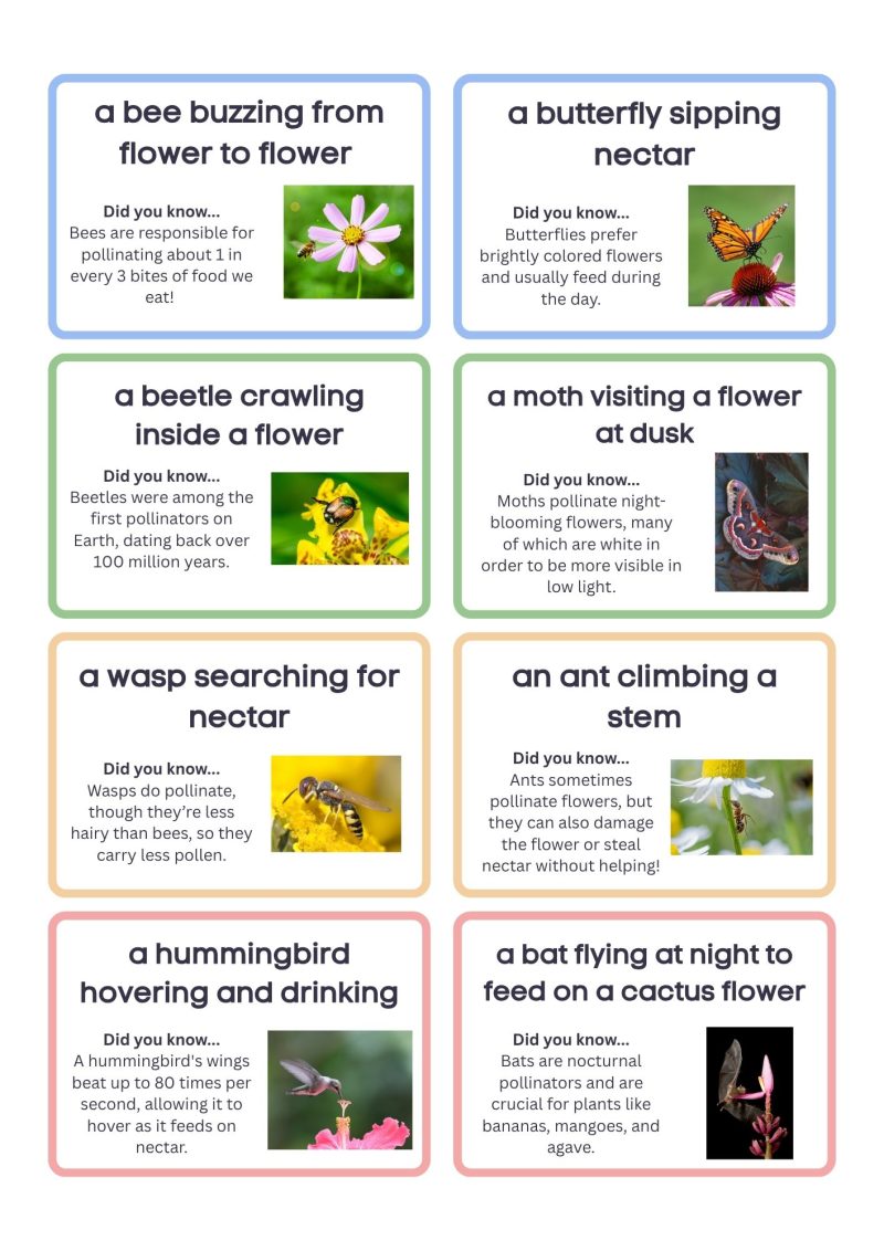 Pollinator Charades - Image 2