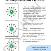 Multiplication Wheel Practice Math Fact Fluency Activity - Image 2