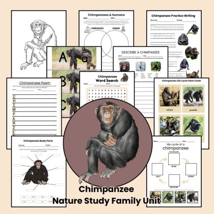 Chimpanzee Nature Study Family Unit Multi Subject Worksheets and Note Pages
