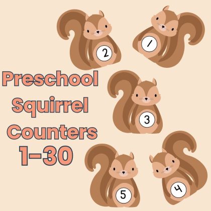 Squirrel Number Counters 1-30 Preschool Kindergarten Math Manipulatives