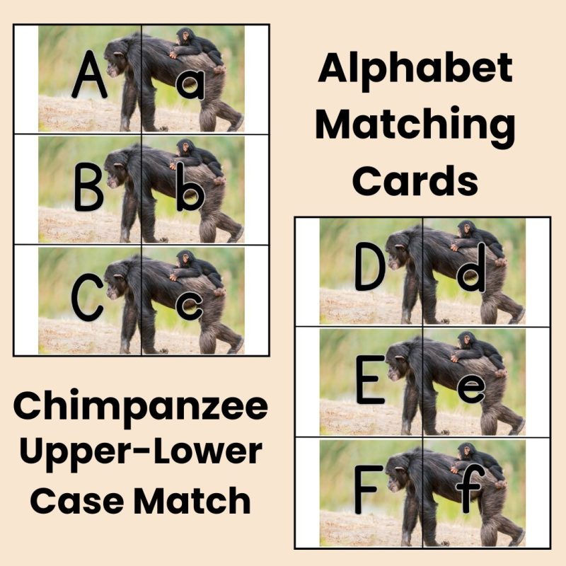 Chimpanzee Alphabet Matching Game Upper and Lower Case Letter Cards
