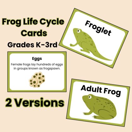 Frog Life Cycle Cards Kindergarten to 3rd Grade