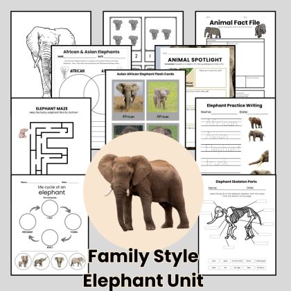 Elephant Nature Study Family Unit