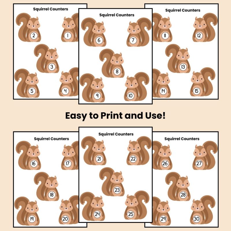 Squirrel Number Counters 1-30 Preschool Kindergarten Math Manipulatives - Image 2