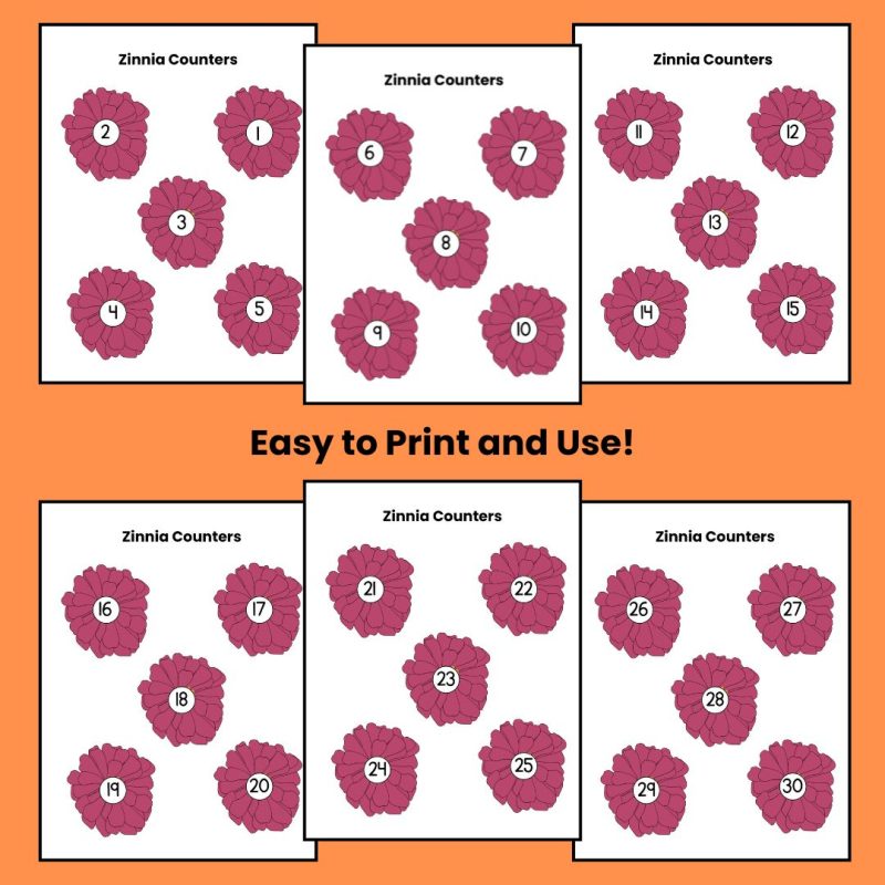 Zinnia Number Counters 1-30 Preschool Kindergarten Math Manipulatives Flower Math - Image 2