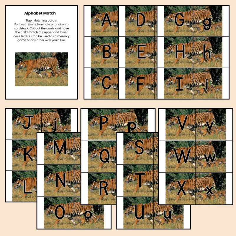 Tiger Alphabet Match Game Upper and Lower Case Letter Cards - Image 2