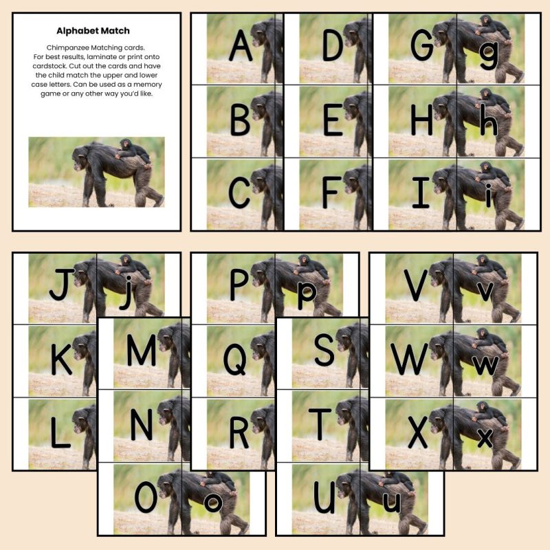 Chimpanzee Alphabet Matching Game Upper and Lower Case Letter Cards - Image 2