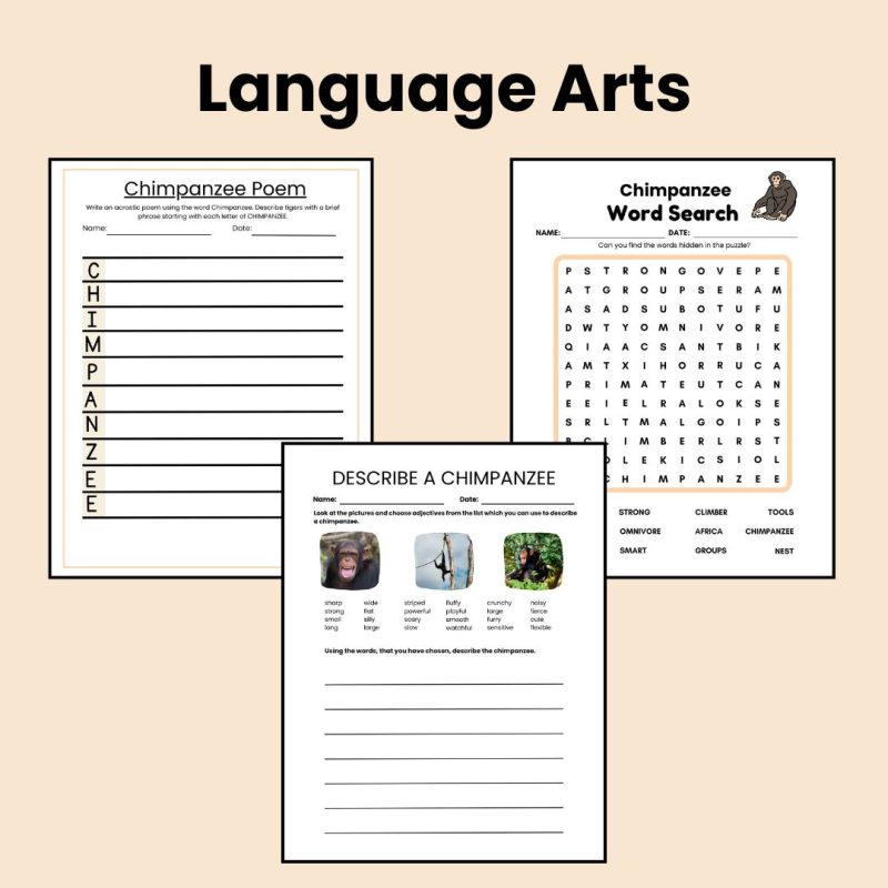 Chimpanzee Nature Study Family Unit Multi Subject Worksheets and Note Pages - Image 3