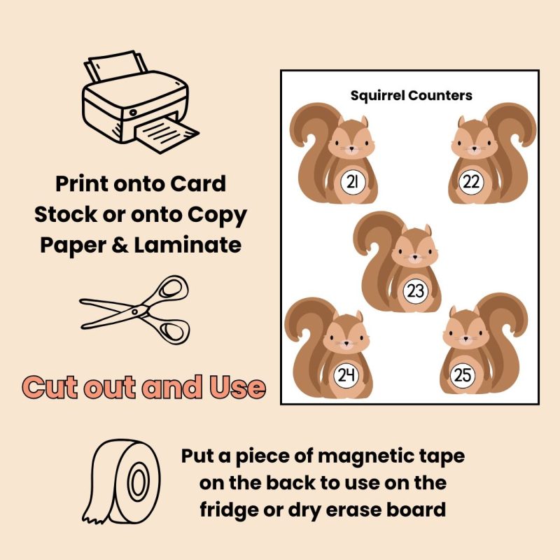 Squirrel Number Counters 1-30 Preschool Kindergarten Math Manipulatives - Image 3