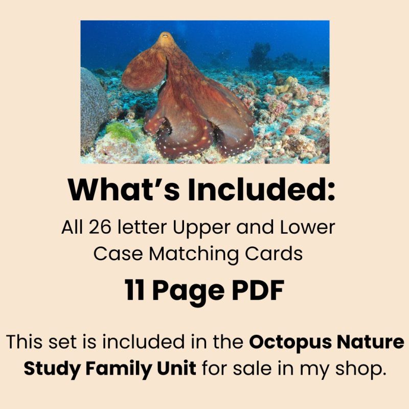 Octopus Alphabet Match Game Upper and Lower Case Letter Cards - Image 3