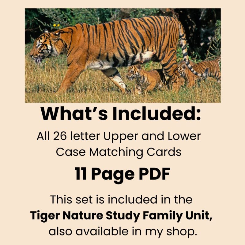 Tiger Alphabet Match Game Upper and Lower Case Letter Cards - Image 3