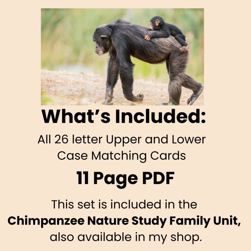 Chimpanzee Alphabet Matching Game Upper and Lower Case Letter Cards - Image 3