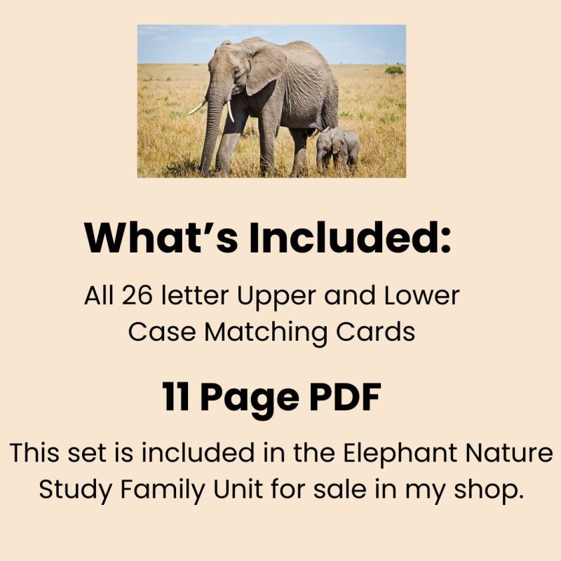 Elephant Alphabet Match Game Upper and Lower case Matching cards - Image 3