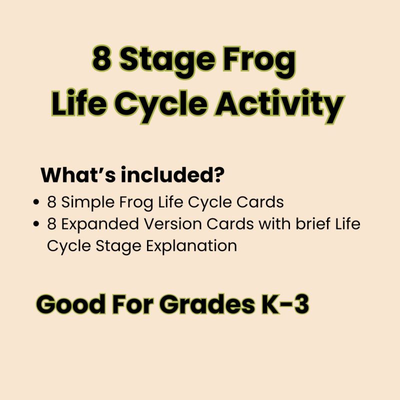 Frog Life Cycle Cards Kindergarten to 3rd Grade - Image 4