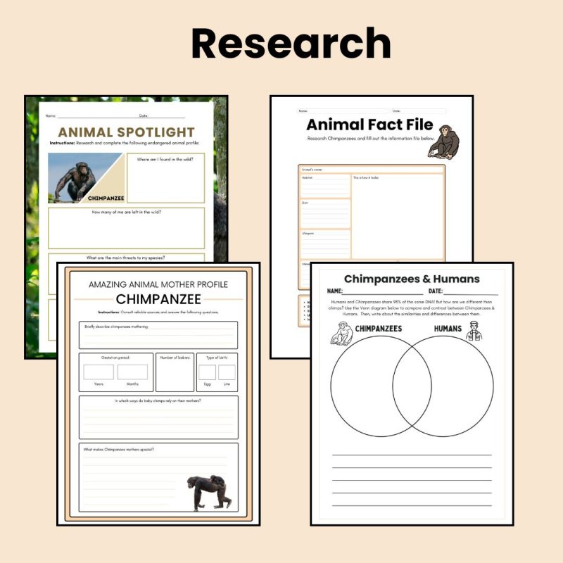 Chimpanzee Nature Study Family Unit Multi Subject Worksheets and Note Pages - Image 4