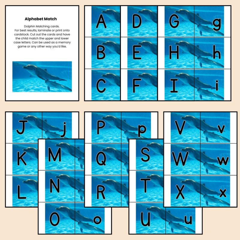 Dolphin Alphabet Matching Game Upper and Lower Case Letter Cards - Image 2