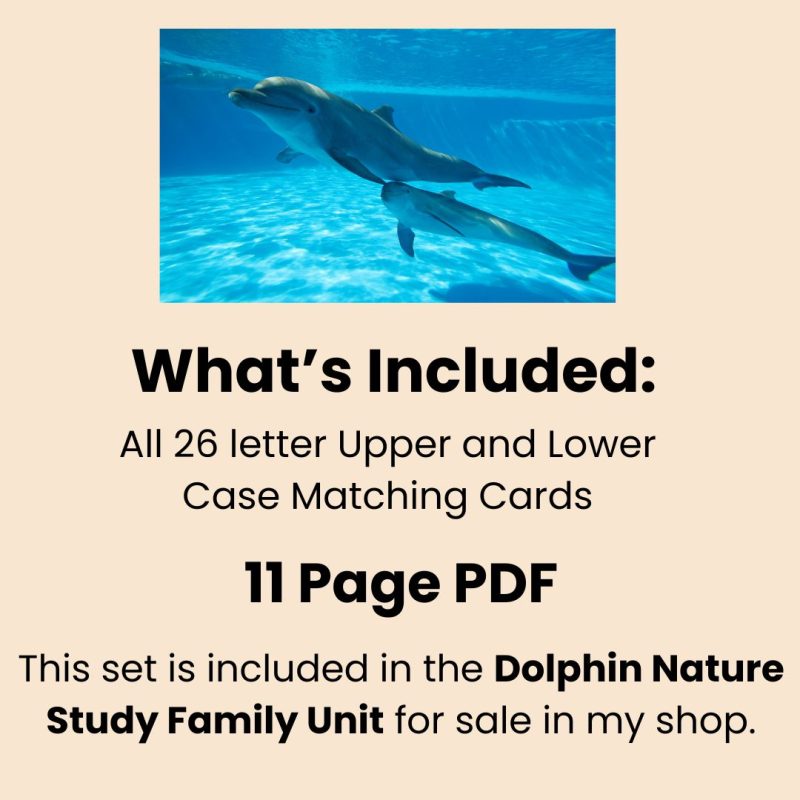 Dolphin Alphabet Matching Game Upper and Lower Case Letter Cards - Image 3