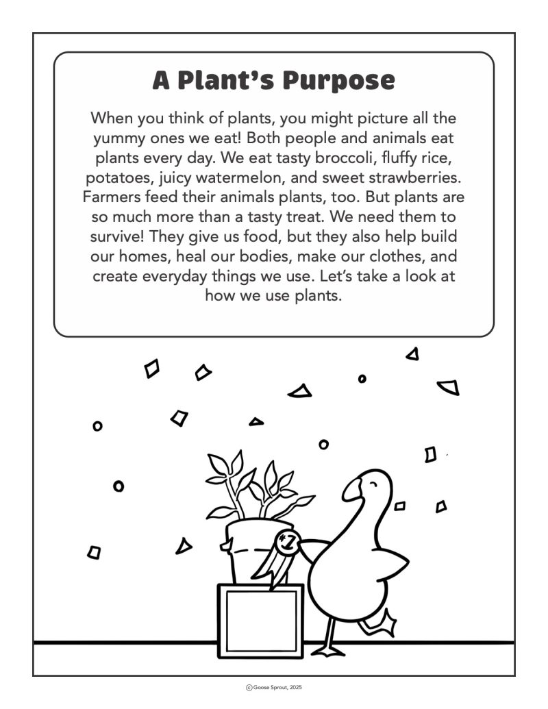 A Plant's Purpose Lesson Chapter - Ink Friendly - Image 2